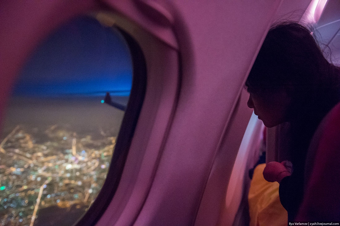 Фото девушка в самолете у окна без лица