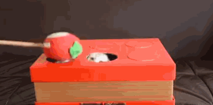 Хозяин, прекрати 