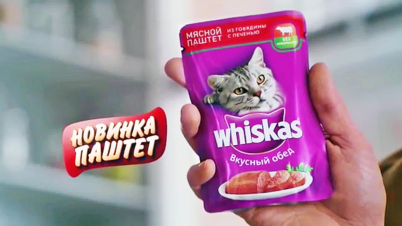 Включи вискас бессмертный. Whiskas 2022. Реклама корма вискас. Whiskas реклама. Whiskas для котят реклама.
