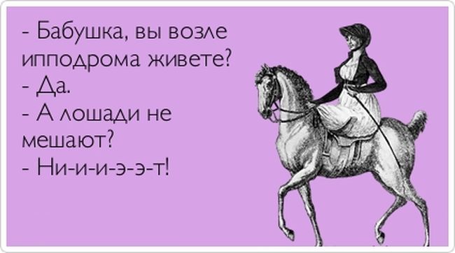 Живу возле. Ипподром шутки. Анекдоты про ипподром. Ипподром прикол. Бабушка вам ипподром не мешает приколы.