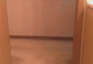 Как и договаривались - по очереди! 