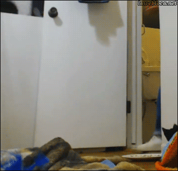 Маленький пассажир