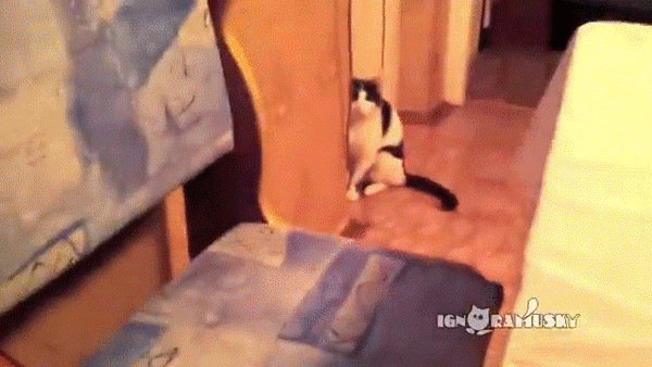 Только не моргать!