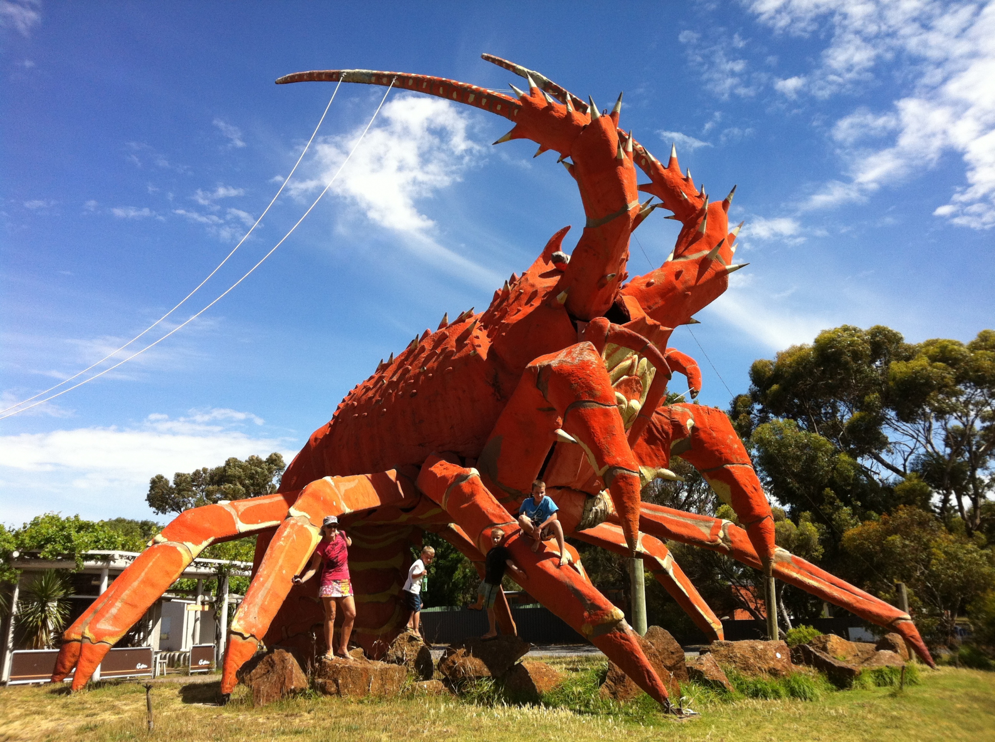Содержание невероятный. Огромные скульптуры. Памятники Австралии. Скульптуры Австралии. Самые большие скульптуры животных.