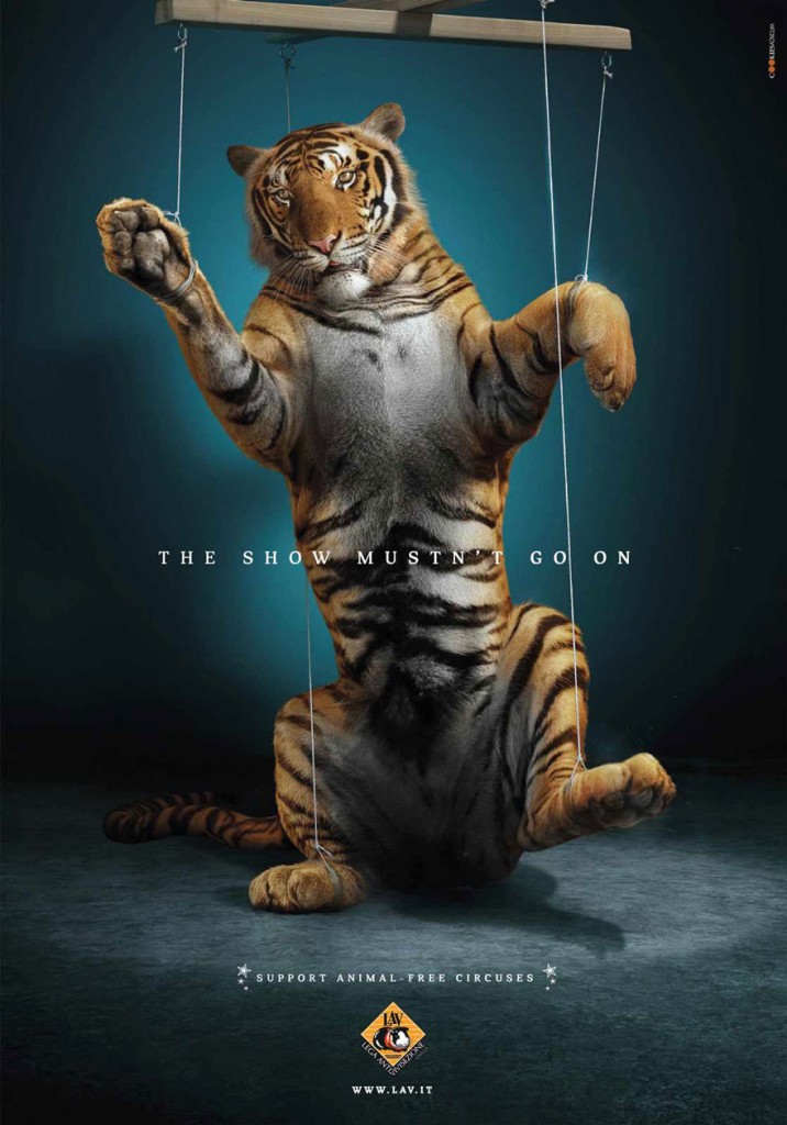 Социальные плакаты в защиту животных.