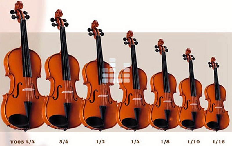 Типы скрипок. Размер Альта и скрипки. Скрипка Альт виолончель контрабас Размеры. Скрипки разных размеров. Альт и скрипка.