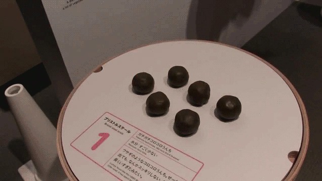 Необычный японский музей