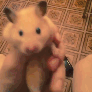 Неудачная попытка побега