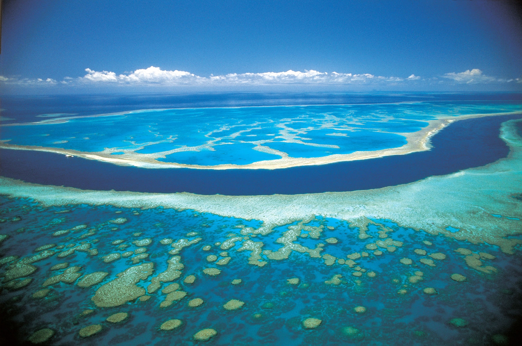 Coral Reef, Torres Strait Islands, Australia без смс