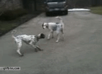 Притворюшка Притворюшка
