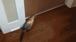 Хочу как ты!