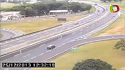 Любопытный тукан