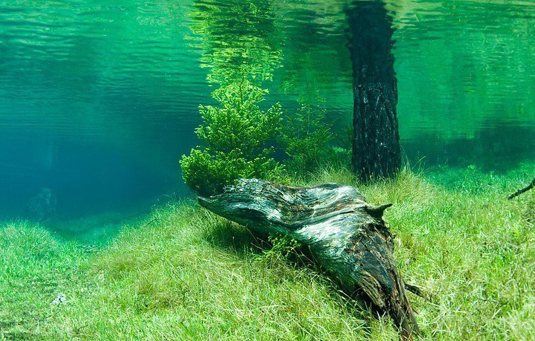 Прозрачное озеро в Австрии