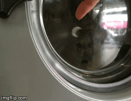 Гифки дня Гифки дня