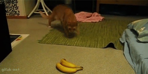 Страшные бананы