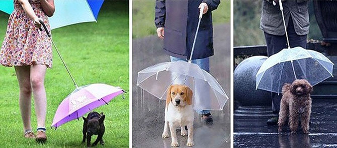19 самых креативных и необычных зонтов этой осени