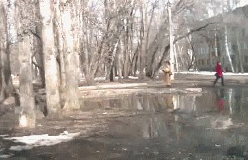 Вот это везение