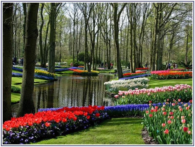 Парк в голландии
