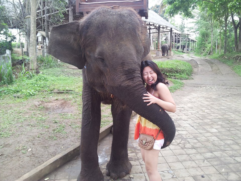 Любовь со слоном