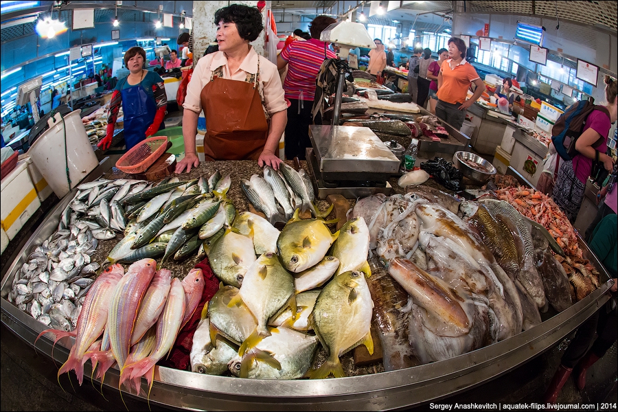 Rohr Fish Market