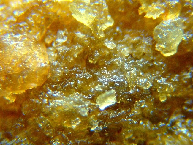 Хлорид золота 3. Хлористое золото. Кошачий корм под микроскопом. Кристаллы меда. Мёд под микроскопом как выглядит.