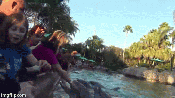 Прожорливый дельфин