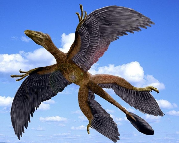 10 невероятных доисторических открытий, сделанных в 2014-м году
