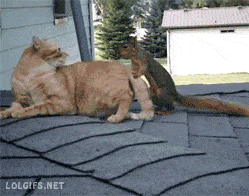 Лучшие друзья