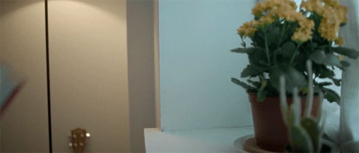 Ожившие обложки виниловых пластинок