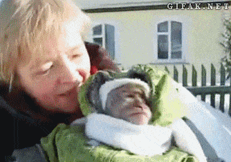 Обезьяна на выгуле