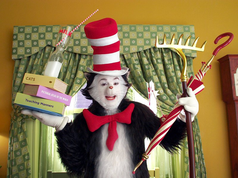 После «Шрека» Майк принял участие еще в одном детском фильме – «Кот в шляпе» (2004)