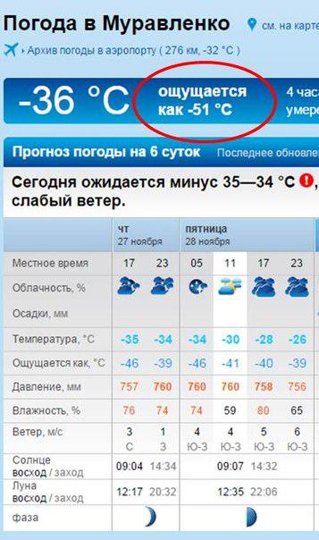 Прогноз погоды ноябрьск на 10 дней. Погода в Муравленко. Прогноз погоды в Муравленко. Погода г Муравленко. Самая низкая температура в Ноябрьске.