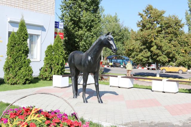 Алексеевка волгоградская область фото