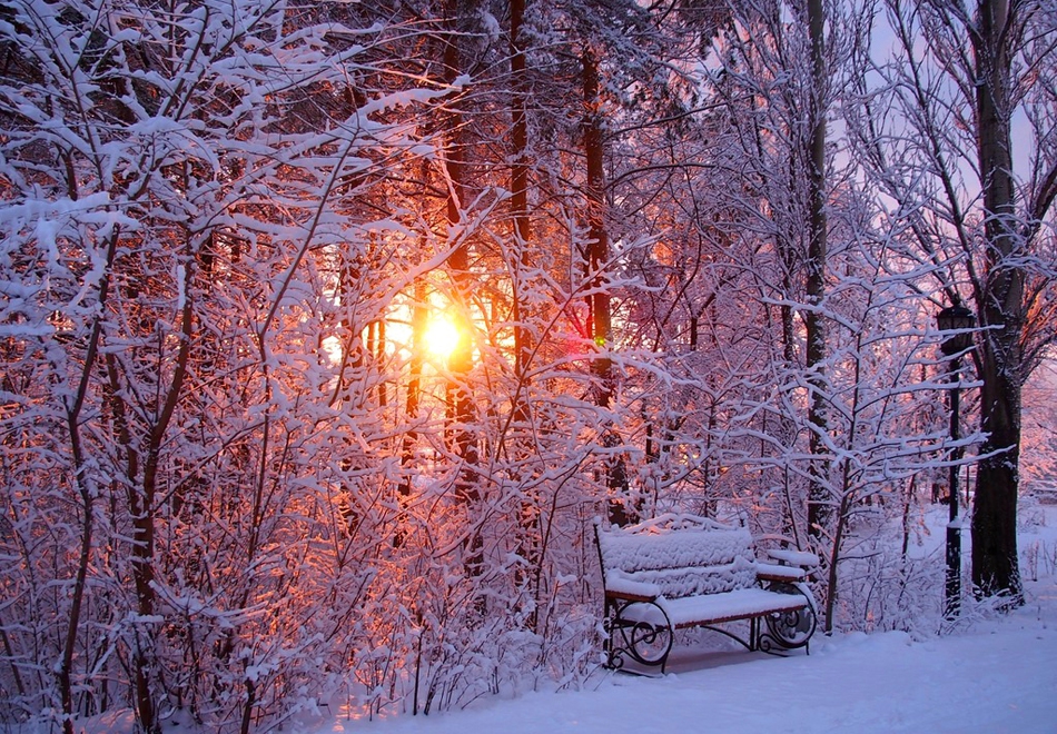 Лучшие Фото Природы Зима