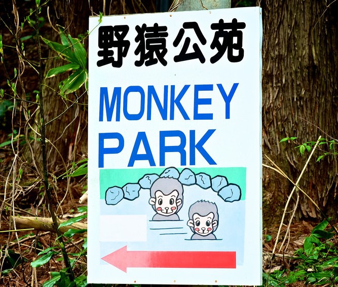 Искупаться с обезьяной