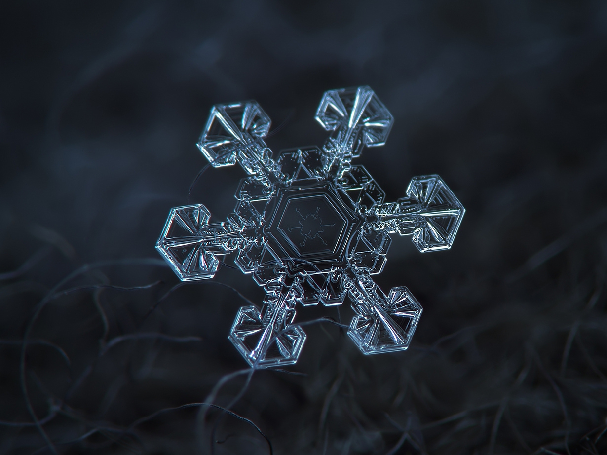 снежинка макро микроскоп бесплатно