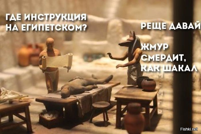 Даешь египет. Жмур смердит как Шакал. Шутки про древний Египет. Египетский Мем Жмур смердит. Анекдоты про древний Египет.