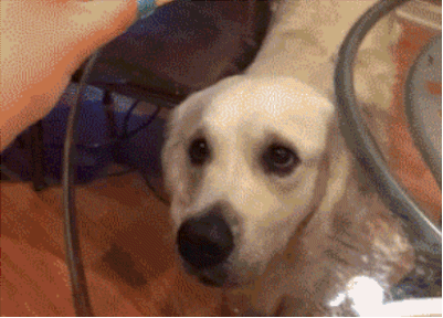 Не видит стекло