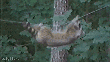 В мыслях он уже на другой стороне