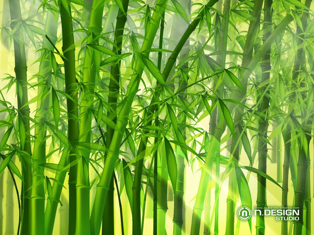  Как использовать бамбук не по назначению