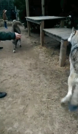 В полный рост В полный рост