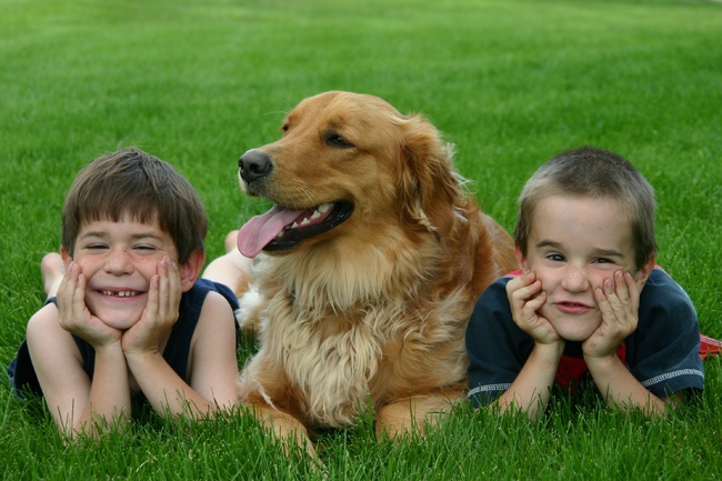 О пользе общения детей с собаками thumbnail
