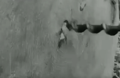 Быстрая заготовка дров