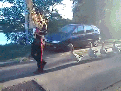 Своя атмосфера Своя атмосфера