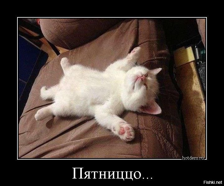 Дома очень скучно после работы Дома очень скучно после работы