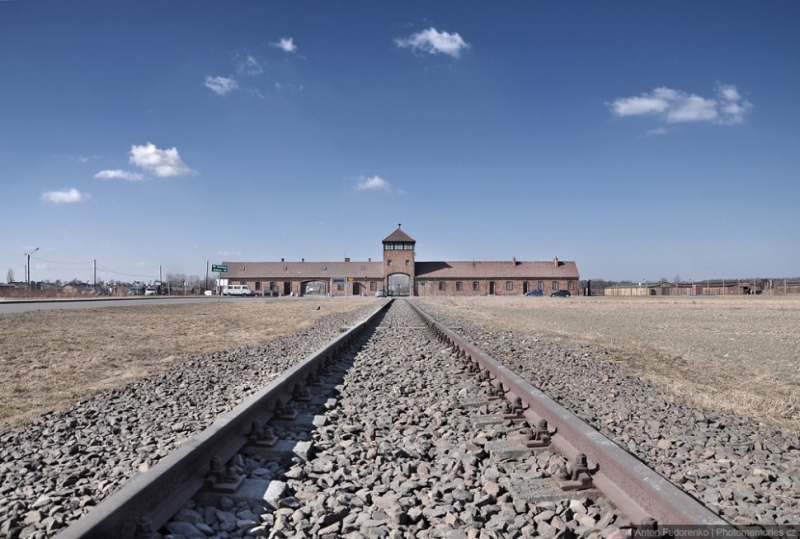 В Германии рассказали, кто освободил Освенцим