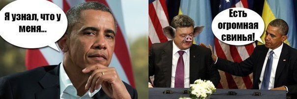 Секта свидетелей Эвромайдауна