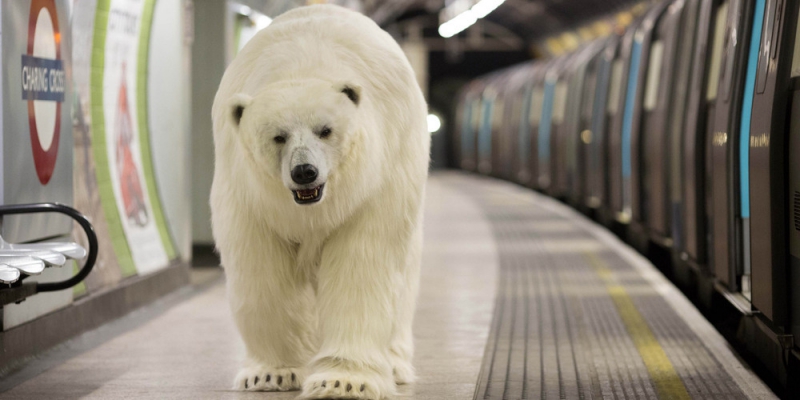 Полярный медведь в лондонском метро