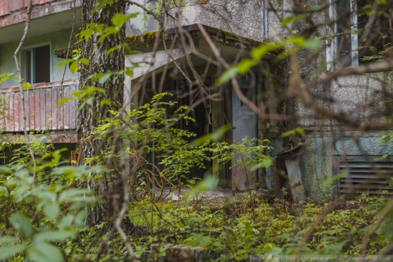 Большая прогулка в Чернобыльскую зону отчуждения и Припять  