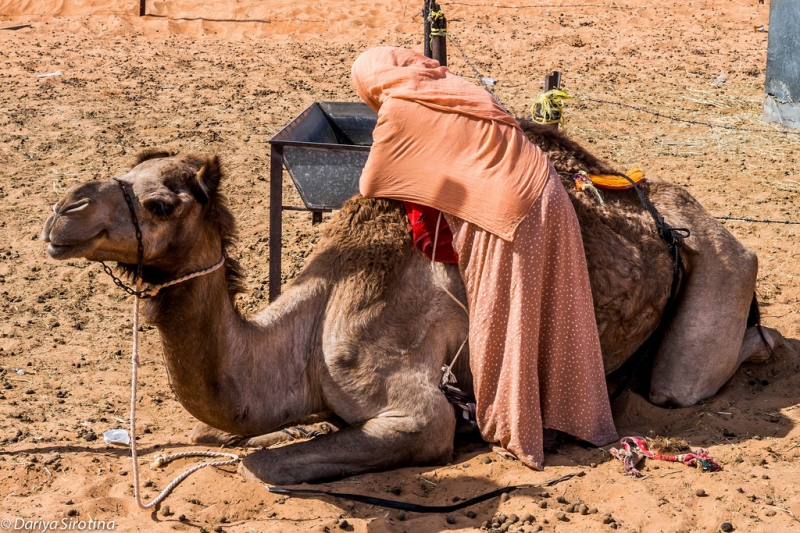 Оман. В гостях у бедуинов